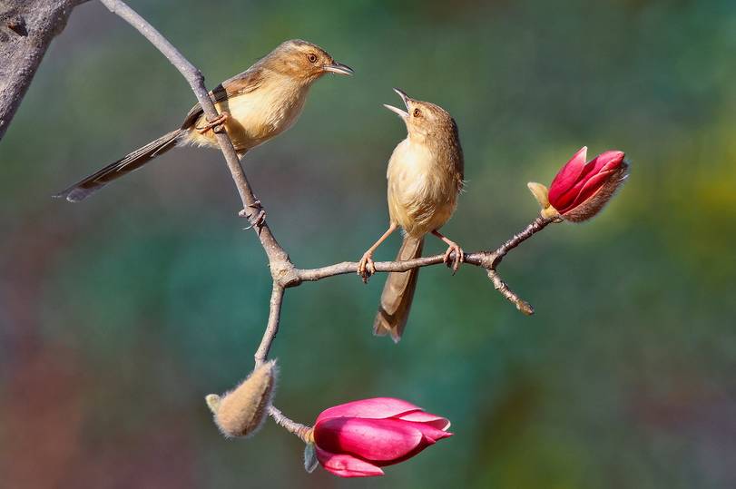 令市场对外汇储备持续下滑的争论可以告一段落了.