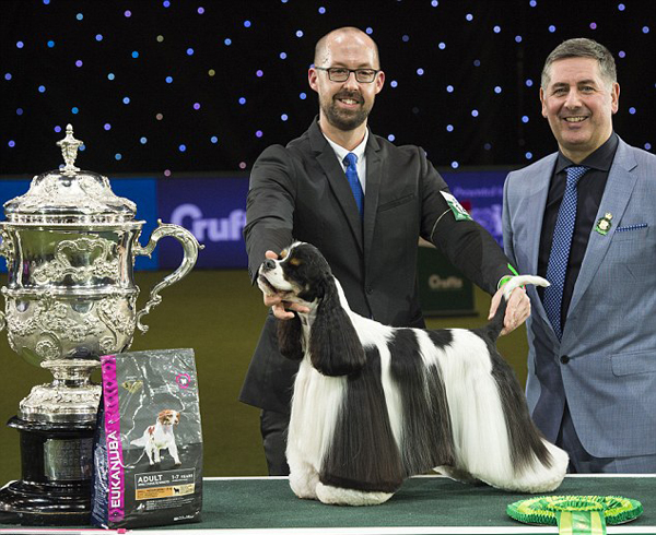 英狗展评选结果遭网友置疑称冠军徒有可爱外表