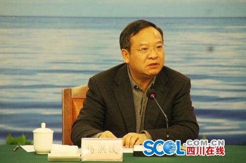 副省长杨洪波在会上发言