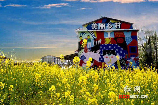 四月去益阳南县罗文花海 赏创意涂鸦品美食文化