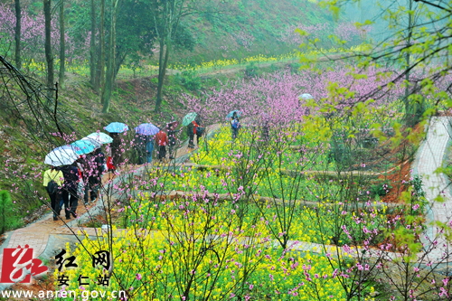 安仁县:雨中漫游桃花岛(图)