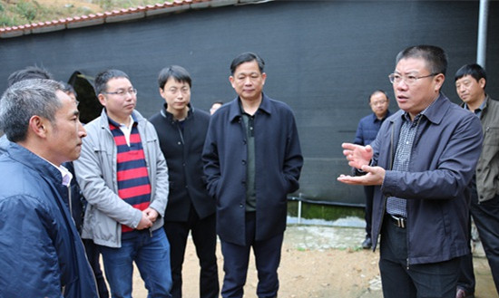 宁化县委书记调研农业旅游项目 为各项目出谋划策