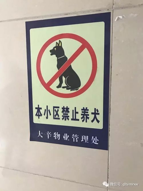 小区物业贴禁狗令凡养狗者罚款1000元