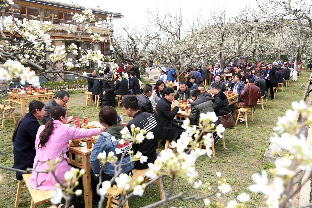 苍溪梨花节开幕 16万亩梨花开 特色乡村活动邀你来
