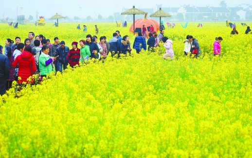 3月17日,游人畅游安仁稻田公园油菜花海.