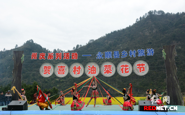 湘西土家族苗族自治州永顺县小溪镇贺喜村的油菜花海.