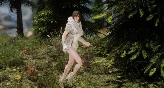 上古卷轴5mod合集第13弹美女随从武器装备及地图优化mod合集