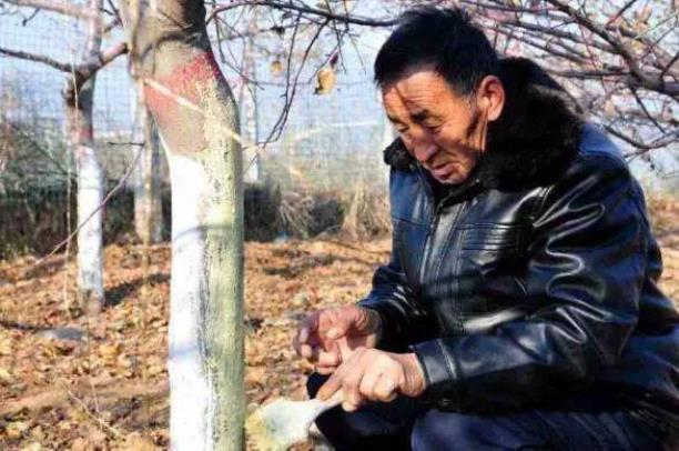 张卫庞:再糙的饭近平也吃得香,再穷的人近平也看得起图为1975年在送