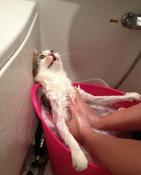 妻子梦里出轨 丈夫竟想离婚!轻松一刻3月27日晚间版