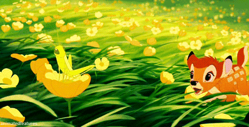 500_256gif 动态图 动图