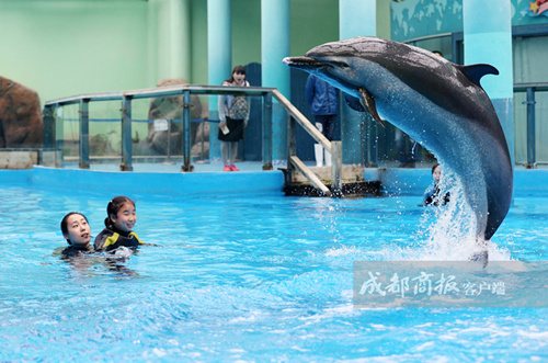 自闭症女童体验海豚治疗终于露出开心笑容组图