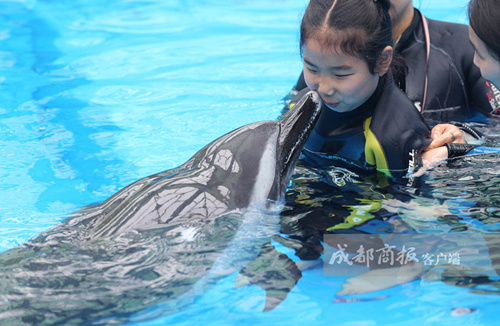 自闭症女童体验海豚治疗终于露出开心笑容组图