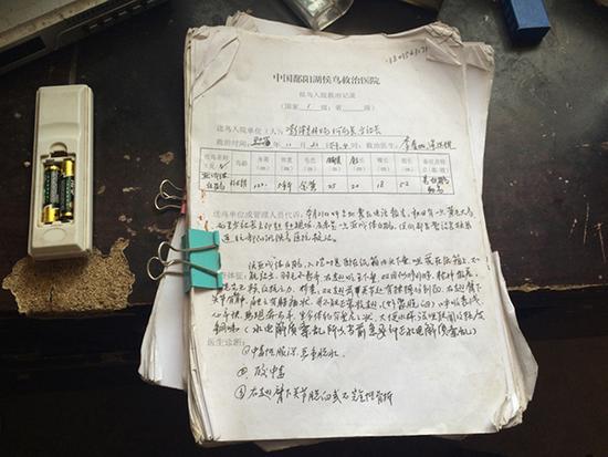 揭秘候鸟医生:救治超5万只 为每只鸟写病历|刺伤|投毒|骨折_新浪新闻