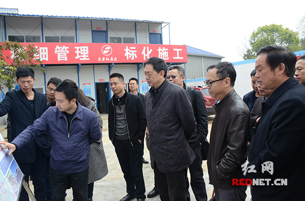 凌勤杰调研望城区高标准规划长沙西站建设