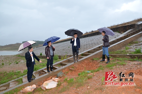 新田县委副书记易先平深入乡镇检查防汛保安工作