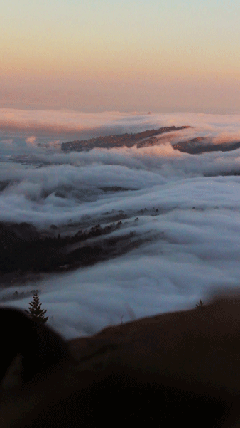 图文笑话别傻了她爱的是你的钱不是你这个人