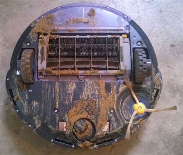 史上最悲剧当扫地机器人遇见狗屎画面太美