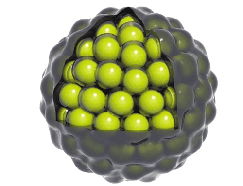 抗癌"蜂窝弹"问世|纳米|抗癌|蜂窝_新浪财经_新浪网