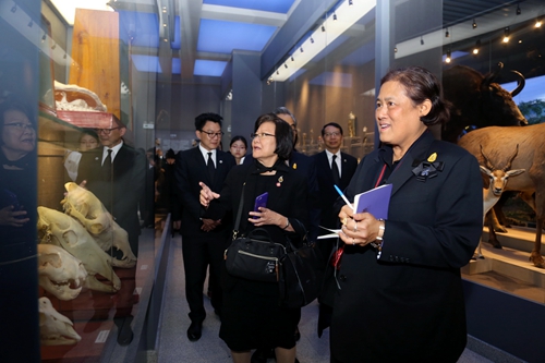 泰国公主抵达北京图片