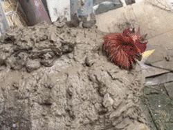 【问答】14W落地SUV，高个女生主开，求宝贵建议。