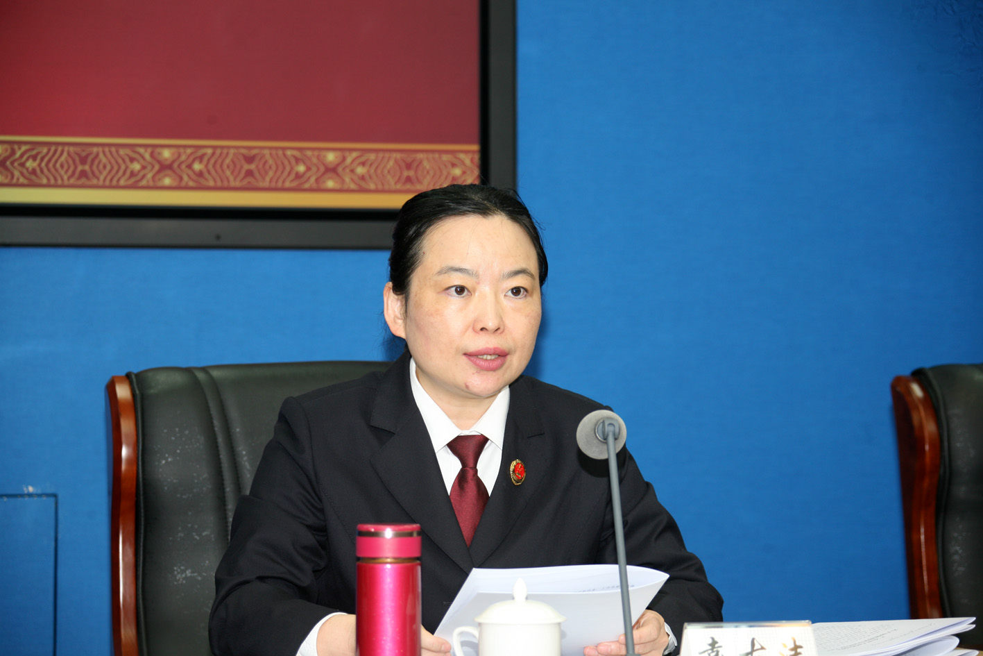 广东省人民检察院召开全省刑事申诉检察工作会议