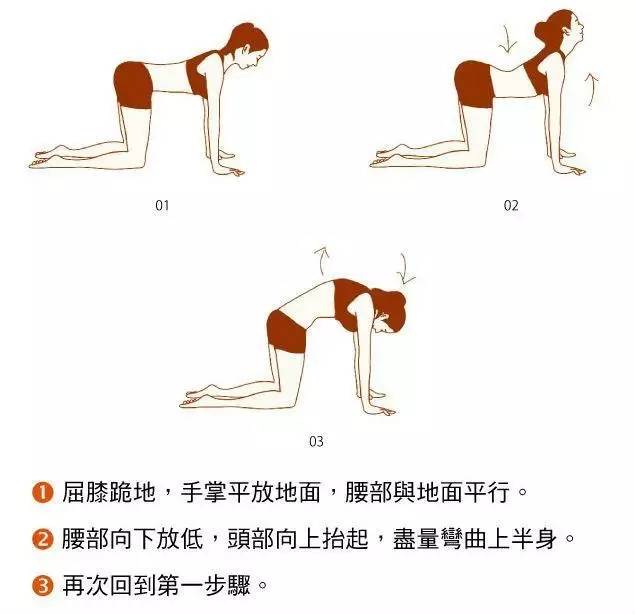 图解你要的产后骨盆修复操都在这里了