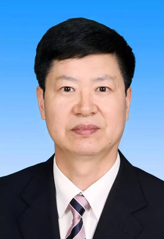 人事高小玫当选民革上海市委主委