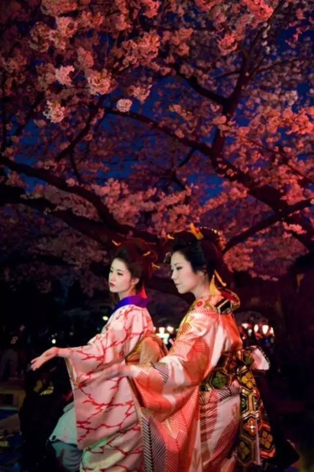是“艺伎”而非“艺妓”，现存已不足两百人 |日本文化|艺伎|艺妓|不足_新浪新闻