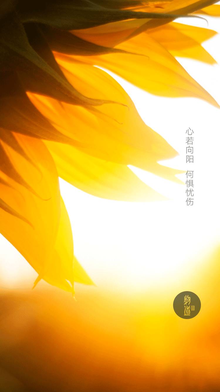 一日道|心若向阳 何惧忧伤