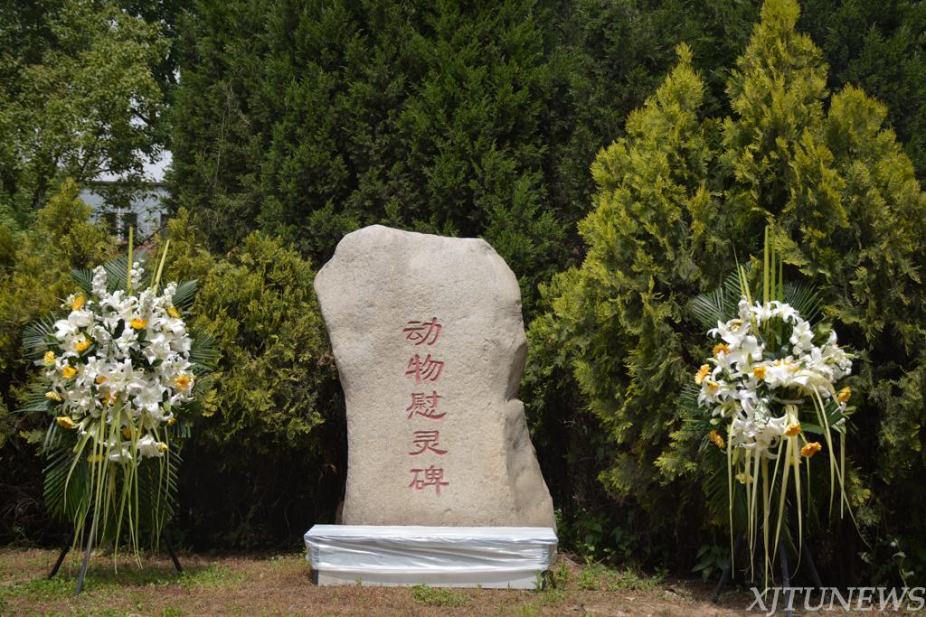 世界实验动物日交大师生集体向动物慰灵碑献花