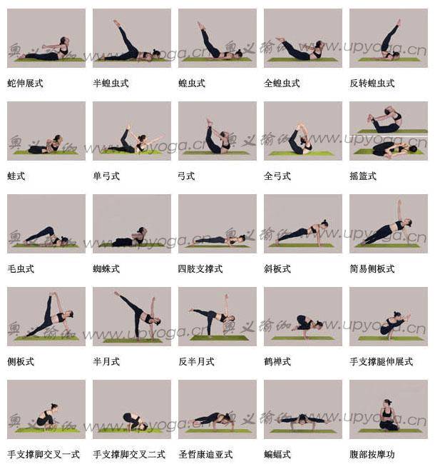 初练瑜伽基本动作图片
