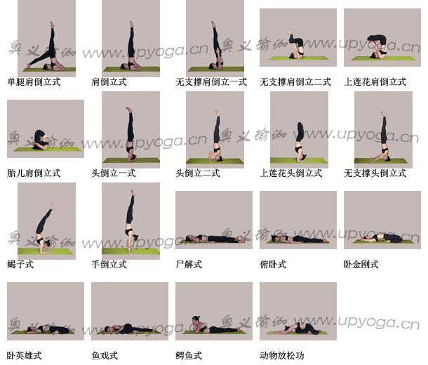 219个入门瑜伽体式先收藏吧