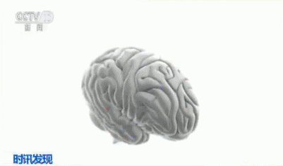 科技 | 换头术还未实现,换脑术可能就要来了