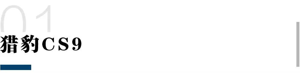 5座out了！近2个月上市了一大波6座、7座全新SUV