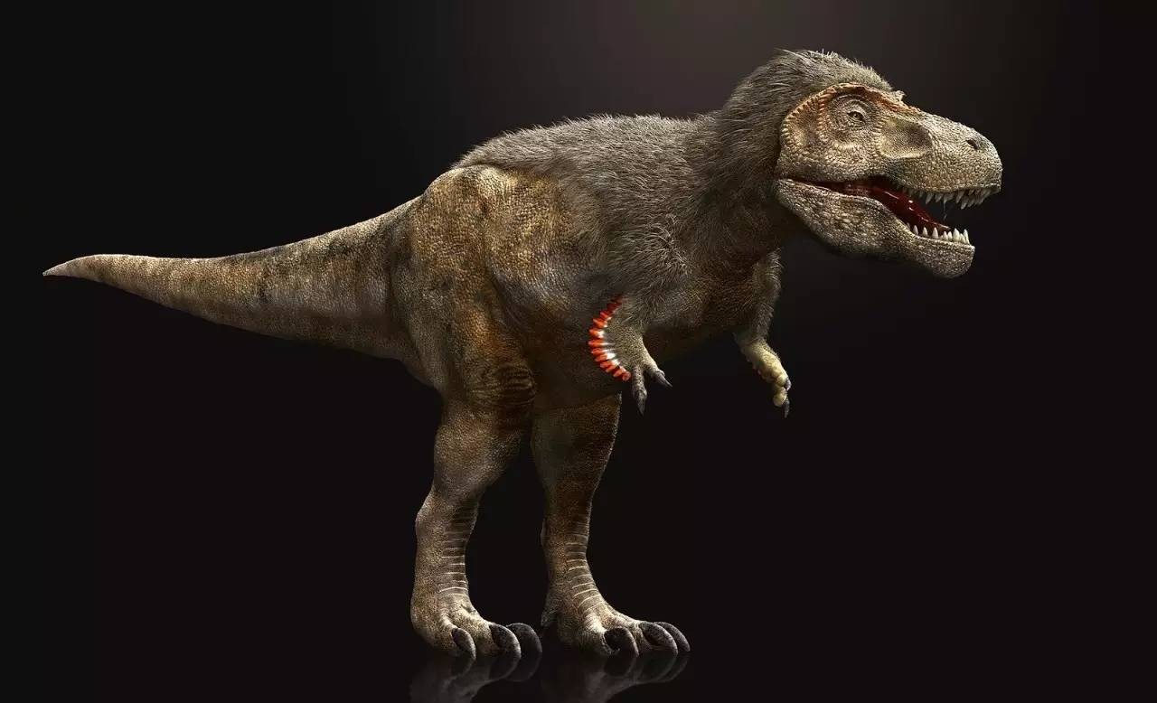 100年一个迫在眉睫的大限灭绝的警告传遍了世界