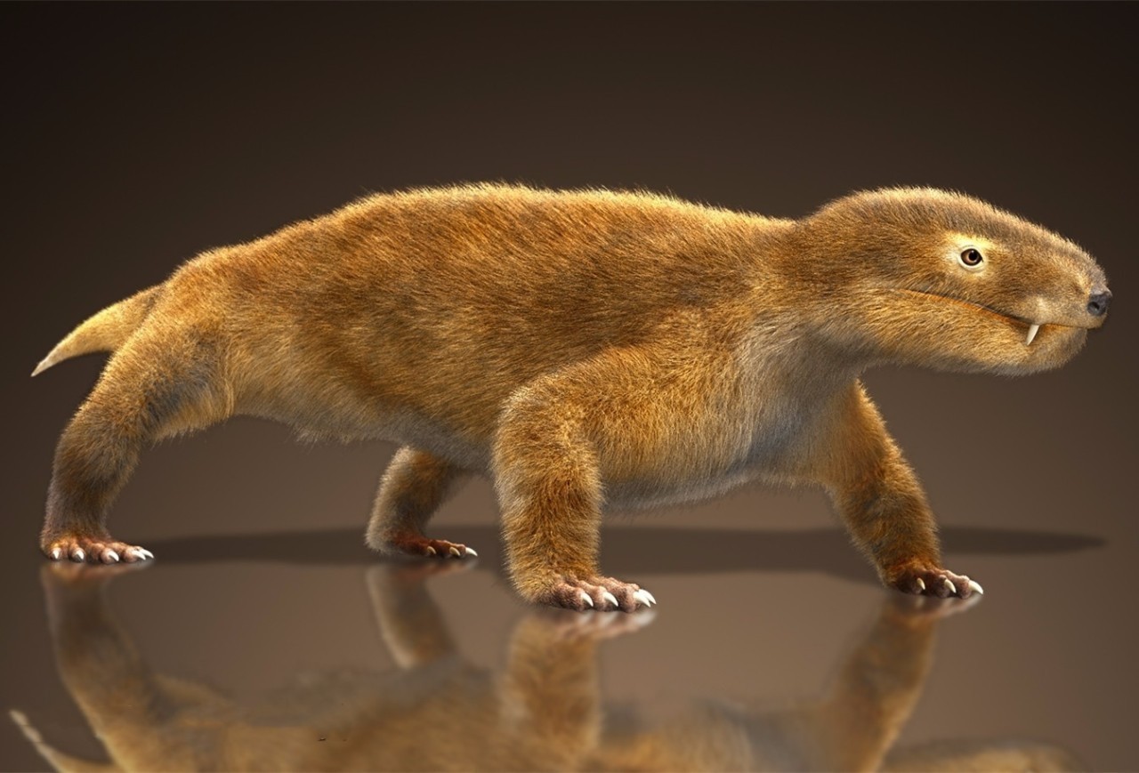 100年一个迫在眉睫的大限灭绝的警告传遍了世界