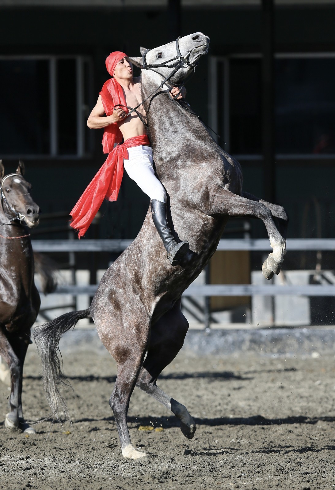 汉武帝为它征战四年大宛名驹汗血宝马真不是吹的