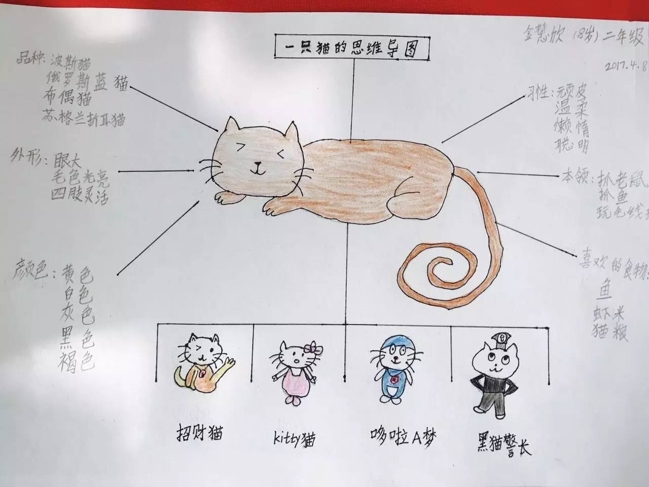 测试丨你家孩子属于哪一类心智模式