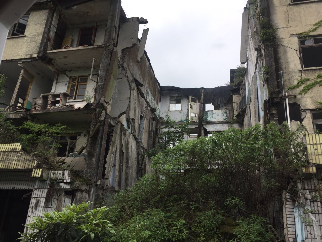 遵道而行 给孩子们建一所安全的学校|地震|学校|抗震_新浪财经_新浪网