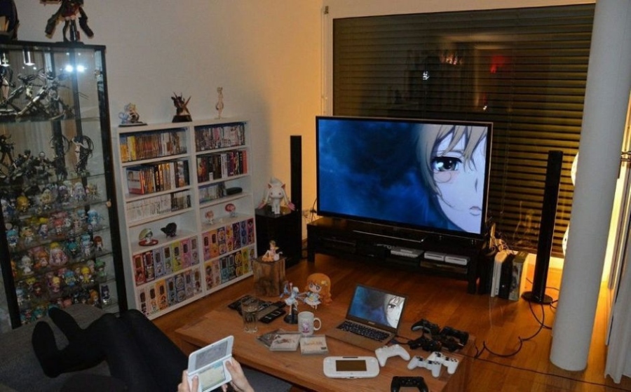 网络时代的御宅文化