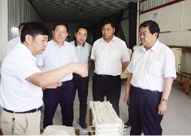本报讯(记者 杨钰洁 5月9日,州委副书记,州长杨健到祥云县调研经济