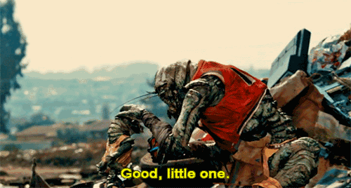 500_268gif 动态图 动图