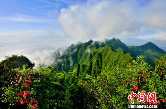 重庆秀山川河盖用"花"替"煤"引游人|秀山|景区|重庆_新浪新闻