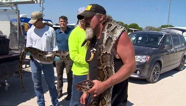 《每日邮报》5月10日报道,近日,美国佛罗里达州的捕蛇人达斯蒂61