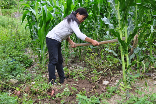 城口县这群"巧媳妇"开创了新的脱贫路