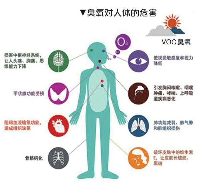 臭氧成为影响我市空气质量的首要污染物|臭氧|污染物|空气质量_新浪新闻