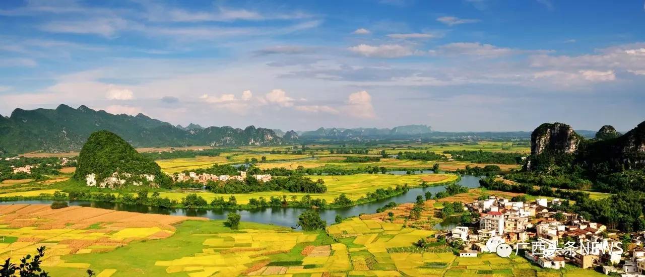 广西上林上演震撼特色民俗盛宴,留学生称赞不已!