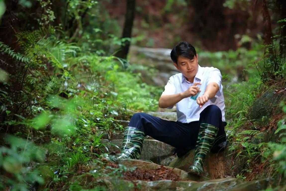 【扶贫手记】娄可伟:南江扶贫故事