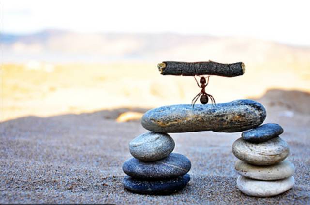 谈恋爱分手导致未成年一方自杀并且有通知成年一方？