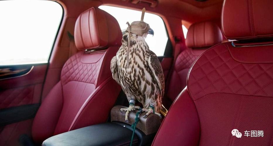 大众推全新小型SUV/沃尔沃XC20曝光/马自达CX-8实车曝光 | 车图腾晚报